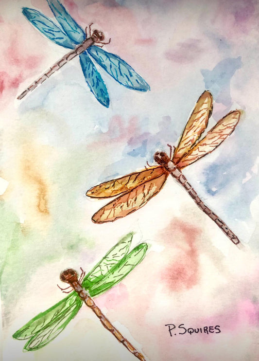 Dragonflies Watercolor Original Painting by Pamela Squires