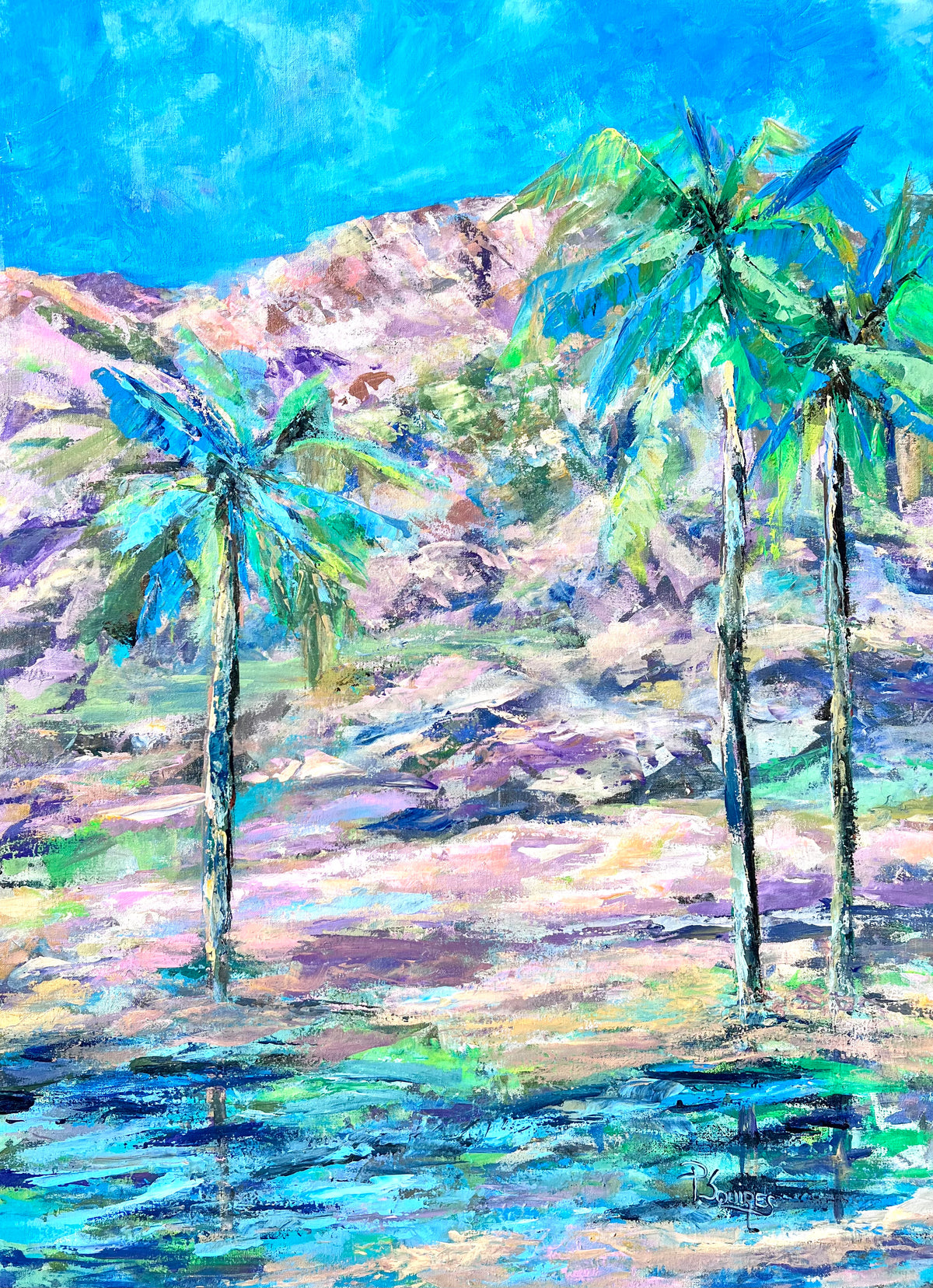 Palm Canyon Indian Canyons 36x48
