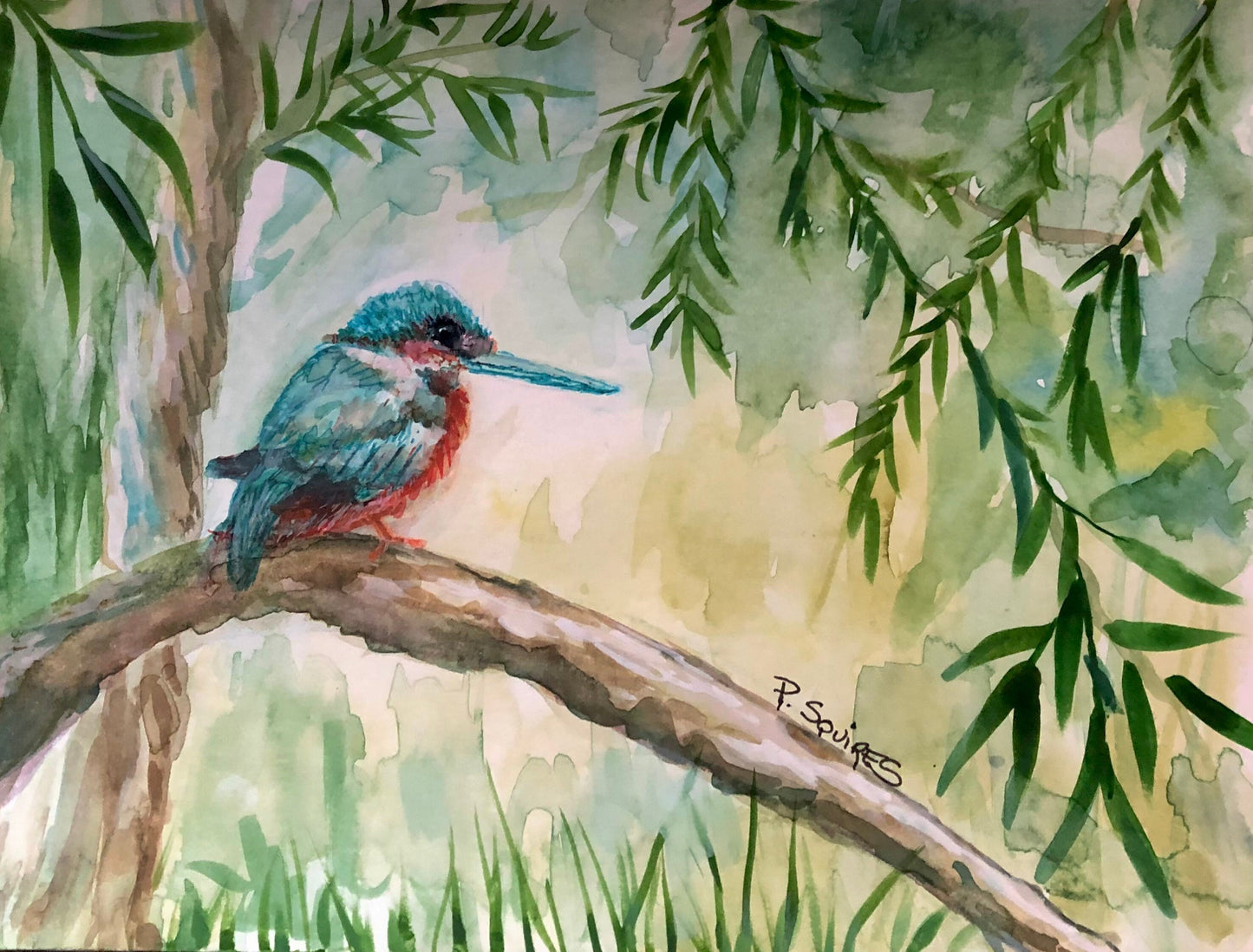 Kingfisher Original Watercolor by Pamela Squires