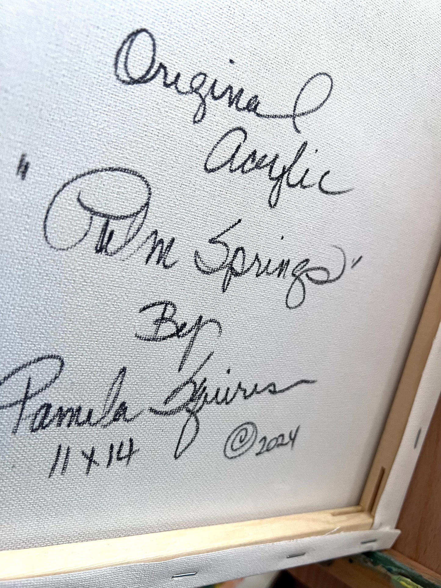 Palm Canyon Palm Springs Original Acrylic by Pamela Squires