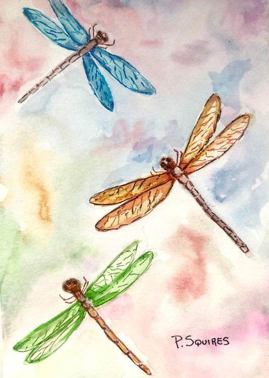 Dragonflies Watercolor Original Painting by Pamela Squires