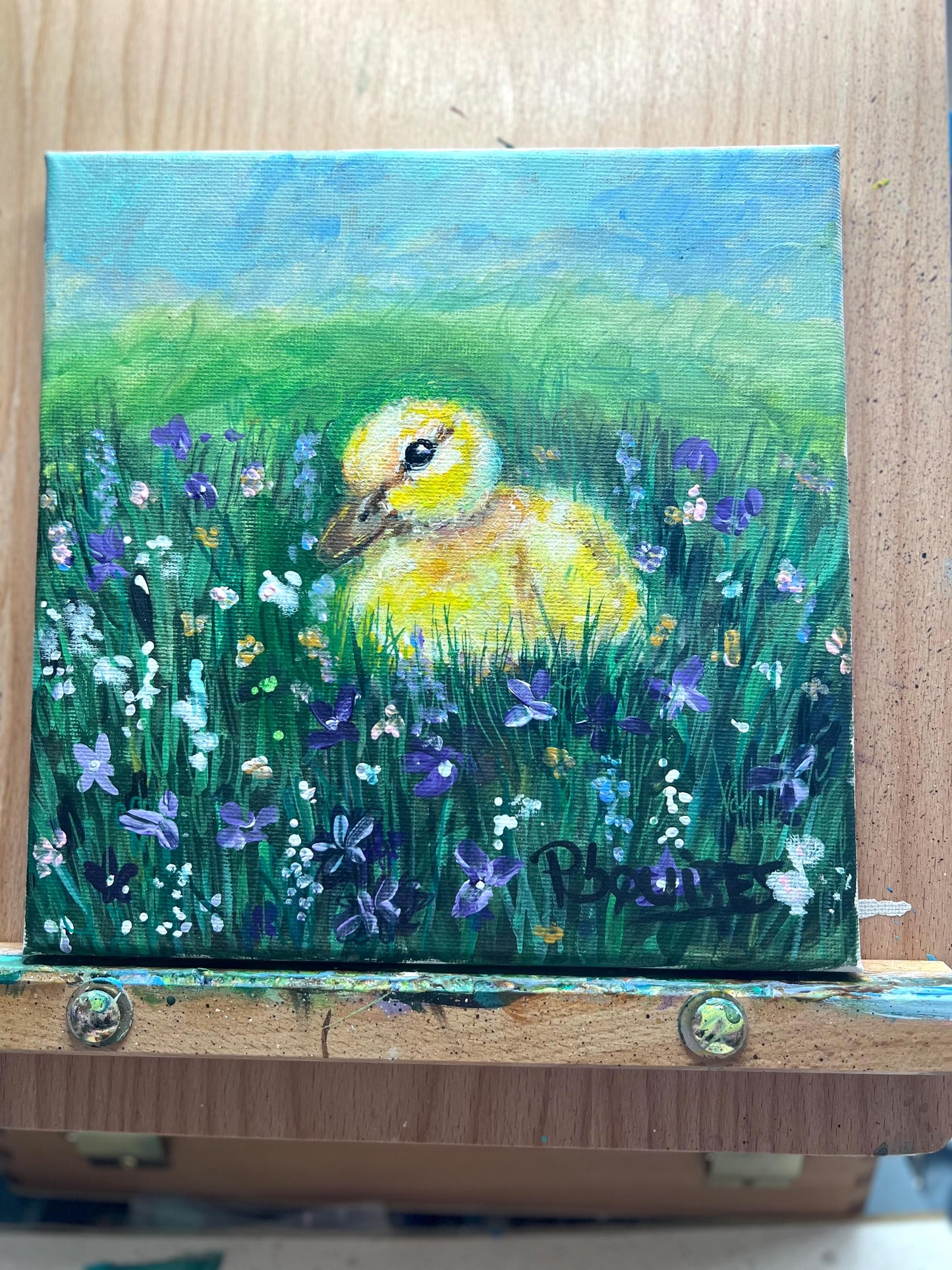 Baby Duck by Pamela Squires Original Painting